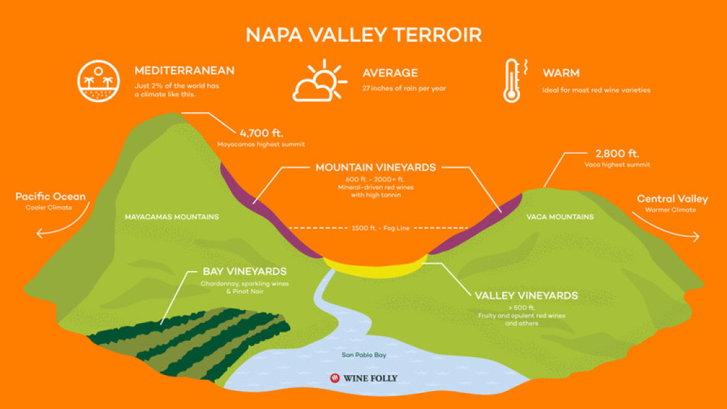 Napa Valley có khí hậu vô cùng phù hợp để nho phát triển